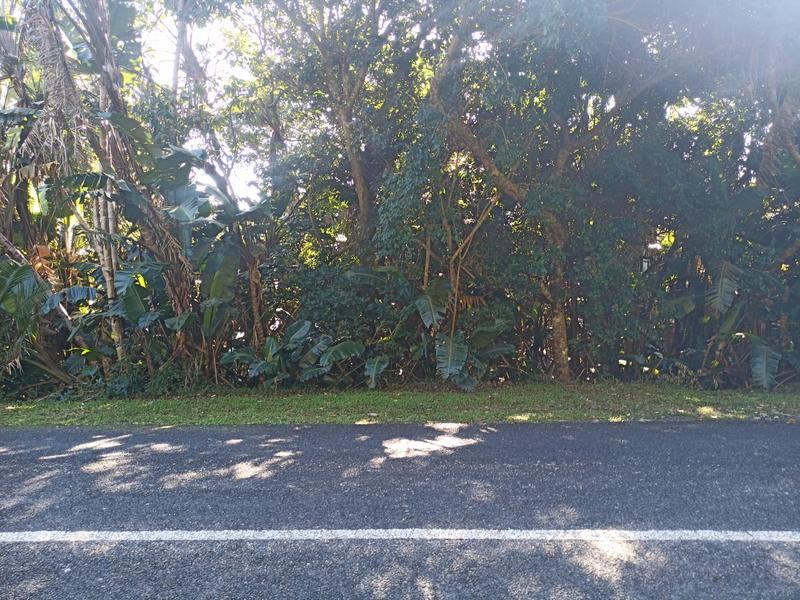 0 Bedroom Property for Sale in Trafalgar KwaZulu-Natal