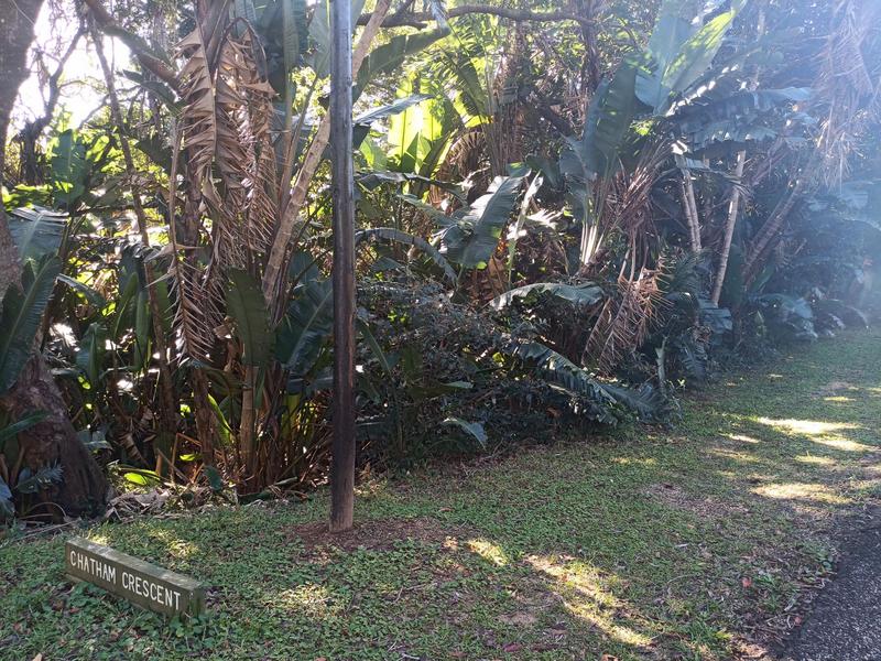 0 Bedroom Property for Sale in Trafalgar KwaZulu-Natal