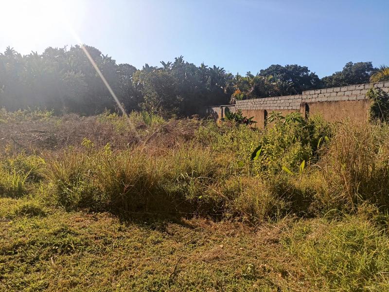 0 Bedroom Property for Sale in Trafalgar KwaZulu-Natal