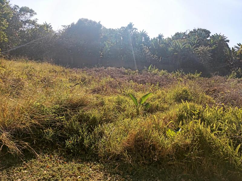 0 Bedroom Property for Sale in Trafalgar KwaZulu-Natal