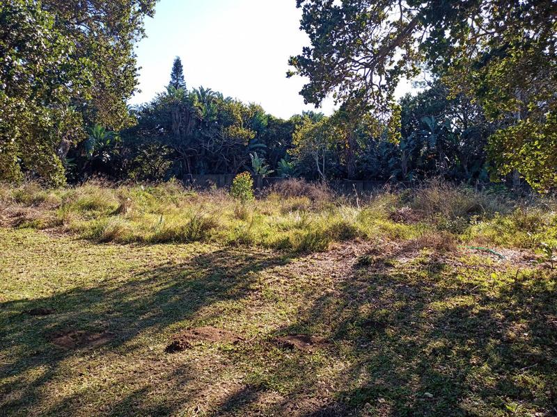 0 Bedroom Property for Sale in Trafalgar KwaZulu-Natal