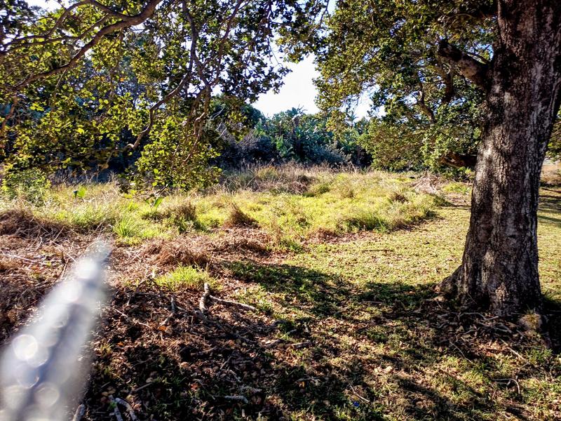 0 Bedroom Property for Sale in Trafalgar KwaZulu-Natal