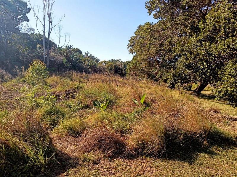 0 Bedroom Property for Sale in Trafalgar KwaZulu-Natal