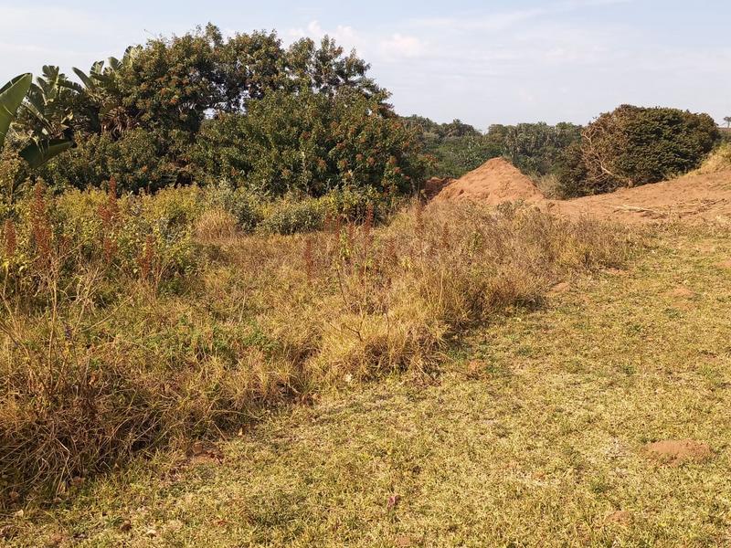 0 Bedroom Property for Sale in Trafalgar KwaZulu-Natal