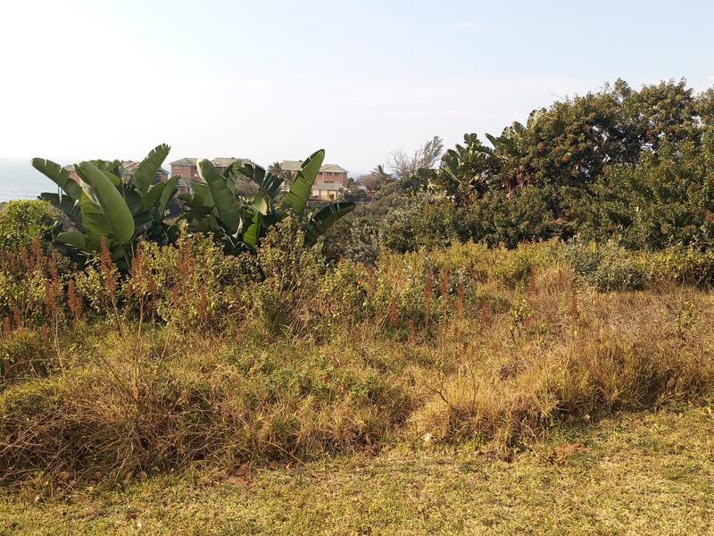 0 Bedroom Property for Sale in Trafalgar KwaZulu-Natal