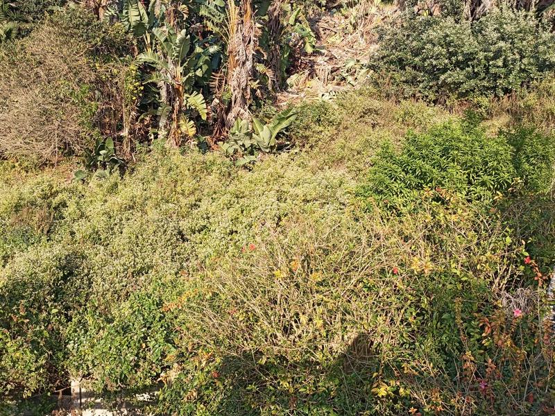 0 Bedroom Property for Sale in Trafalgar KwaZulu-Natal