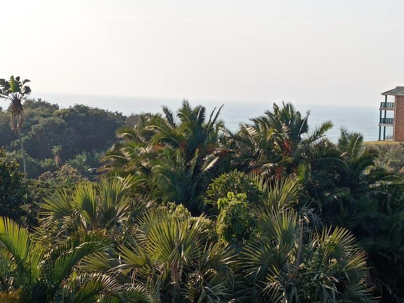 0 Bedroom Property for Sale in Trafalgar KwaZulu-Natal