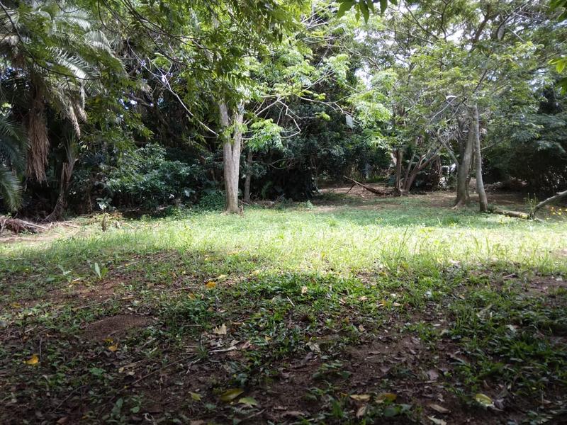 0 Bedroom Property for Sale in Hibberdene KwaZulu-Natal