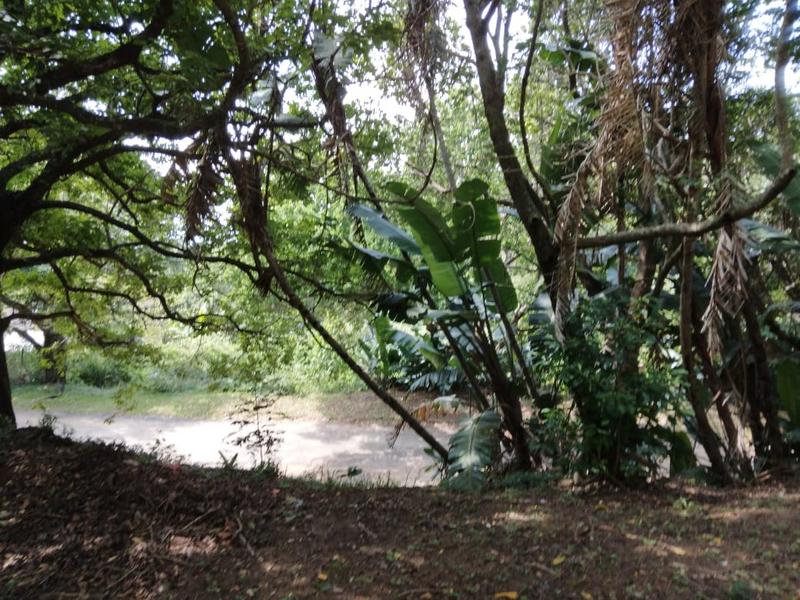 0 Bedroom Property for Sale in Hibberdene KwaZulu-Natal