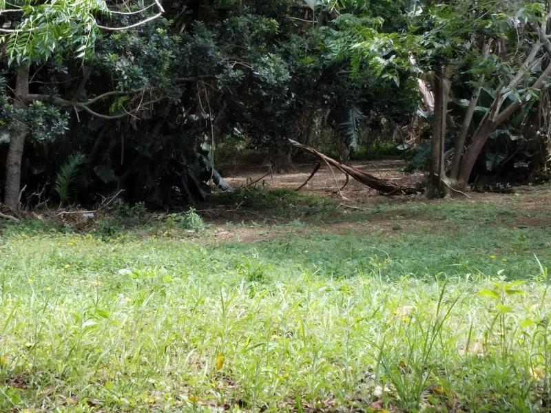0 Bedroom Property for Sale in Hibberdene KwaZulu-Natal