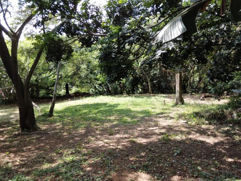 0 Bedroom Property for Sale in Hibberdene KwaZulu-Natal