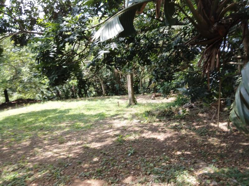 0 Bedroom Property for Sale in Hibberdene KwaZulu-Natal