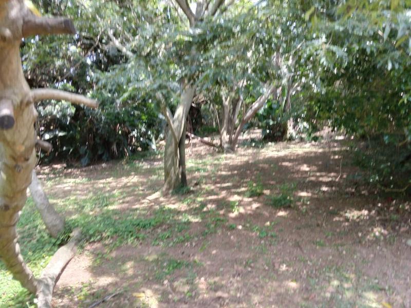 0 Bedroom Property for Sale in Hibberdene KwaZulu-Natal