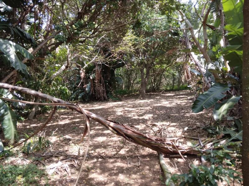 0 Bedroom Property for Sale in Hibberdene KwaZulu-Natal