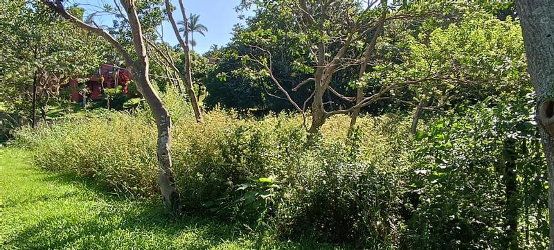 0 Bedroom Property for Sale in Leisure Bay KwaZulu-Natal
