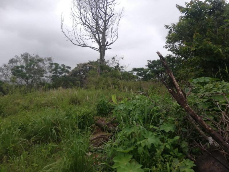 0 Bedroom Property for Sale in Umzinto KwaZulu-Natal