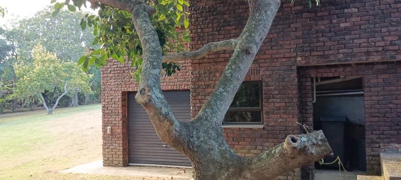 3 Bedroom Property for Sale in Trafalgar KwaZulu-Natal