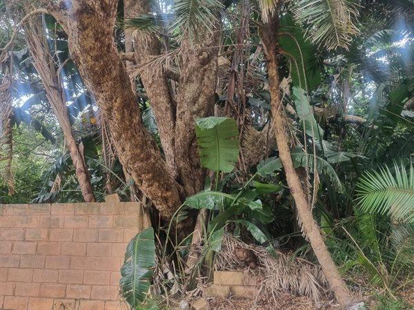 0 Bedroom Property for Sale in Woodgrange KwaZulu-Natal