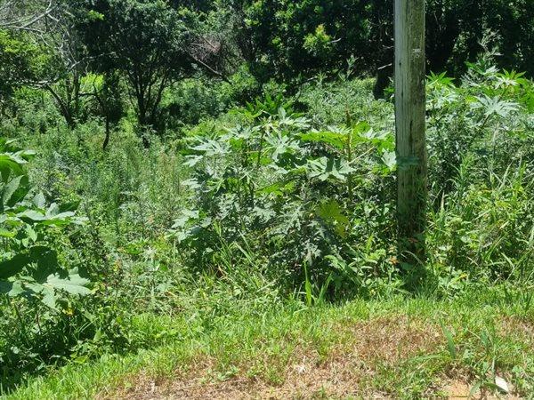 0 Bedroom Property for Sale in Woodgrange KwaZulu-Natal