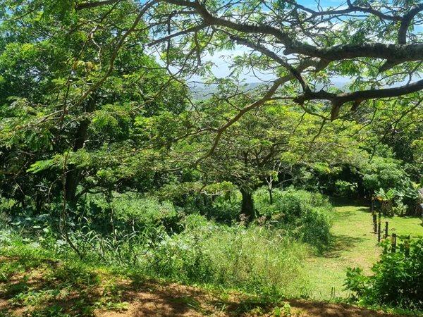 0 Bedroom Property for Sale in Woodgrange KwaZulu-Natal