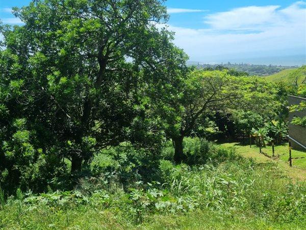 0 Bedroom Property for Sale in Woodgrange KwaZulu-Natal