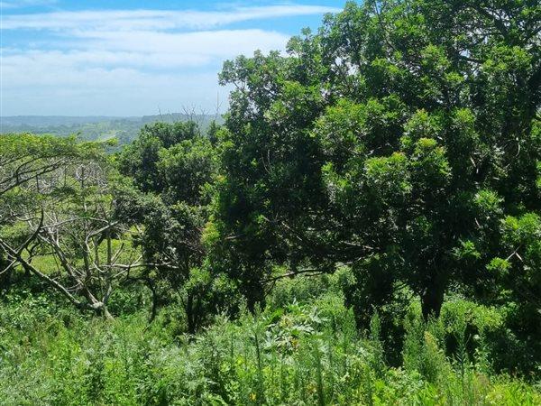 0 Bedroom Property for Sale in Woodgrange KwaZulu-Natal