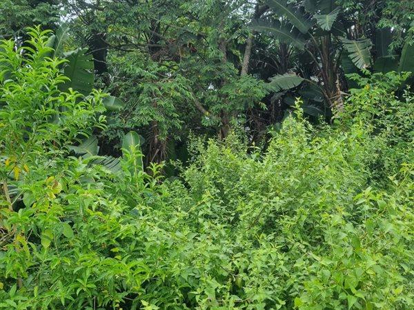 0 Bedroom Property for Sale in Woodgrange KwaZulu-Natal