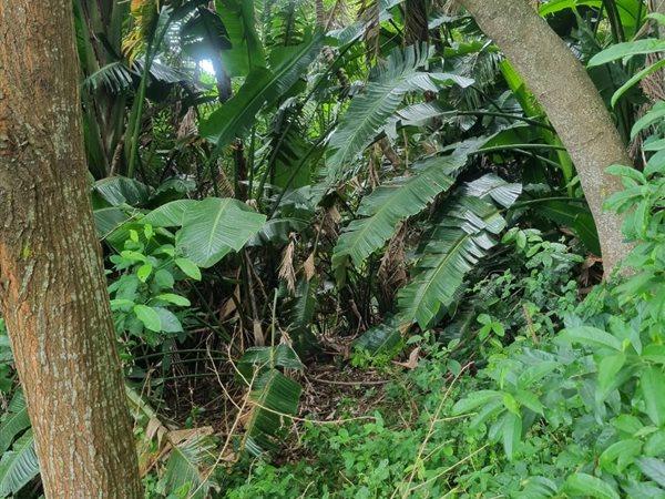 0 Bedroom Property for Sale in Woodgrange KwaZulu-Natal