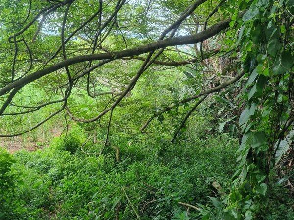 0 Bedroom Property for Sale in Woodgrange KwaZulu-Natal