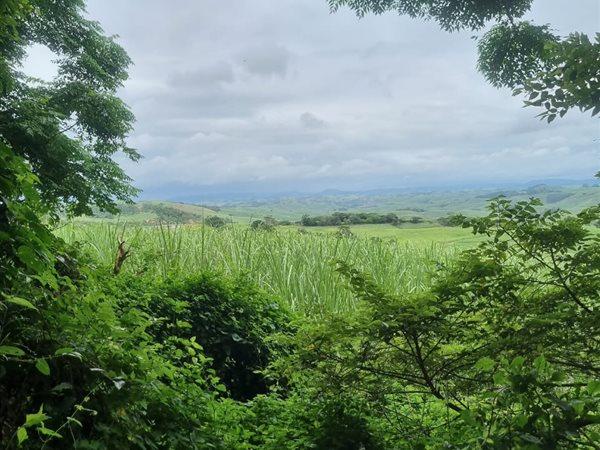 0 Bedroom Property for Sale in Woodgrange KwaZulu-Natal