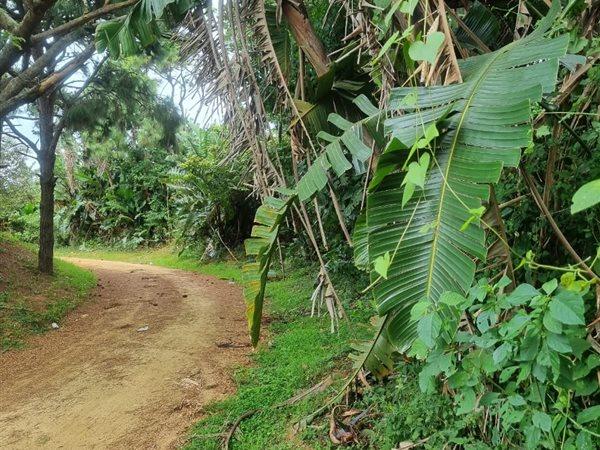 0 Bedroom Property for Sale in Woodgrange KwaZulu-Natal