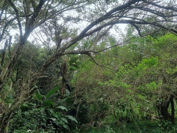 0 Bedroom Property for Sale in Woodgrange KwaZulu-Natal