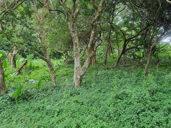 0 Bedroom Property for Sale in Woodgrange KwaZulu-Natal