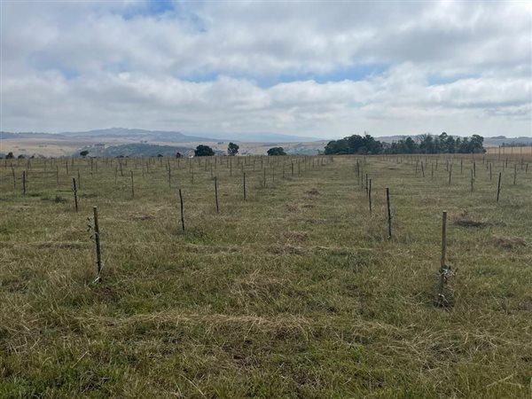 3 Bedroom Property for Sale in Dundee Rural KwaZulu-Natal