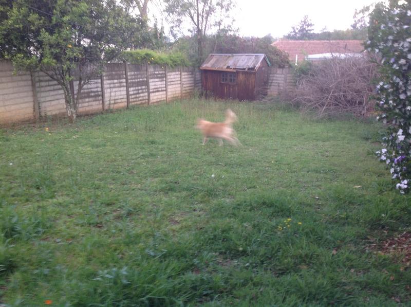 3 Bedroom Property for Sale in Pietermaritzburg KwaZulu-Natal