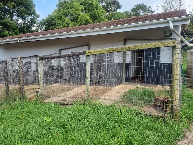 To Let 10 Bedroom Property for Rent in Sea Park KwaZulu-Natal