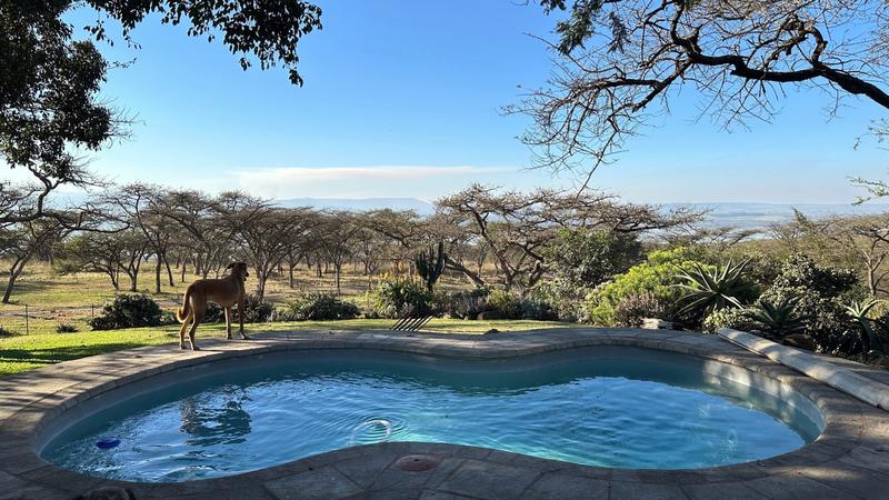 8 Bedroom Property for Sale in Mount Verde KwaZulu-Natal