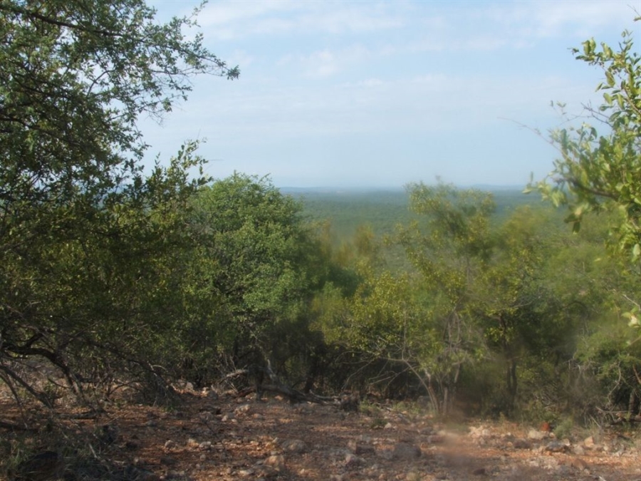 Commercial Property for Sale in Musina Limpopo