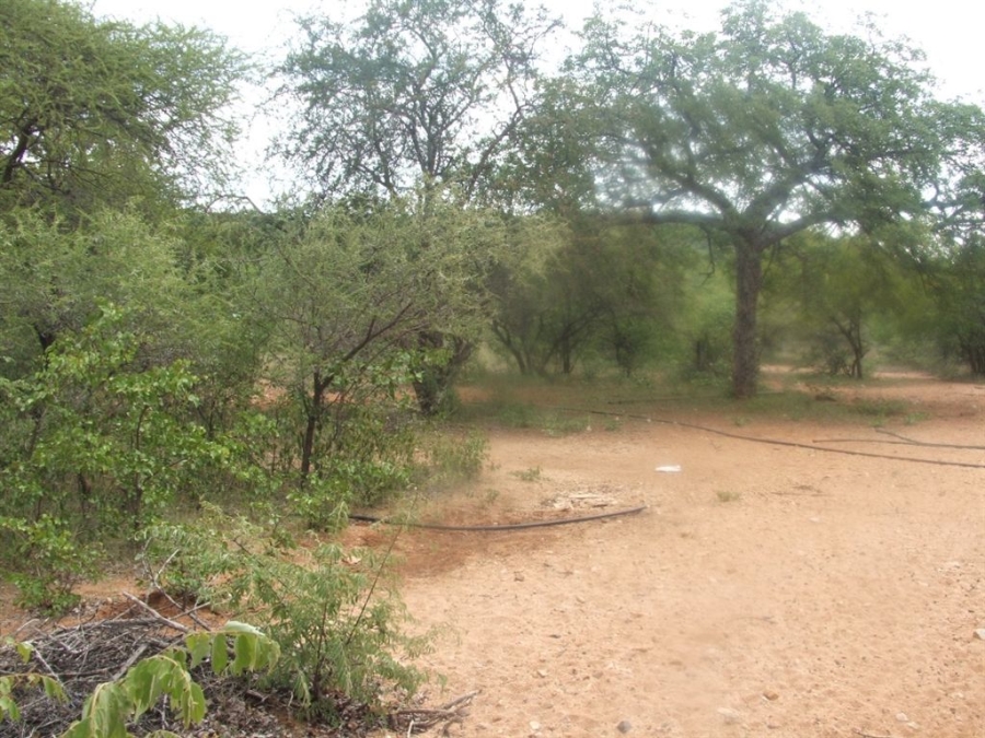 Commercial Property for Sale in Musina Limpopo