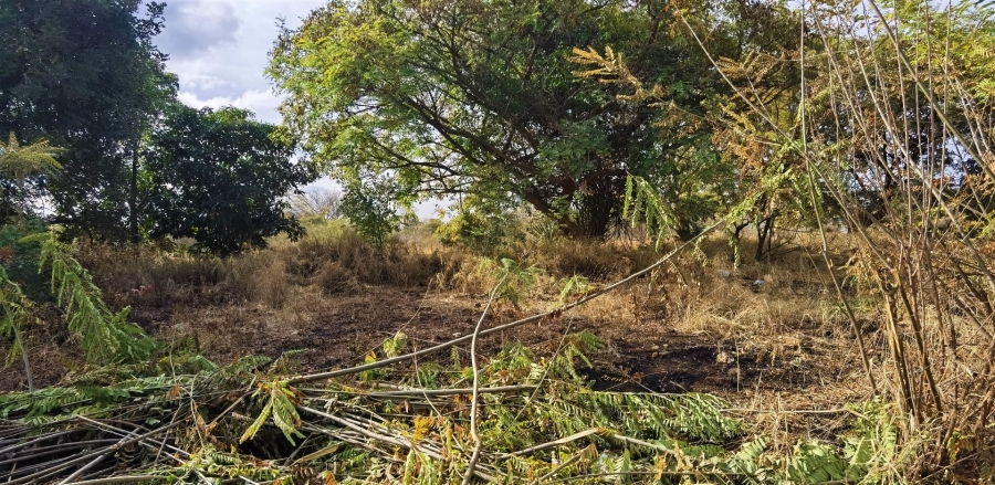 Commercial Property for Sale in Ivy Park Limpopo