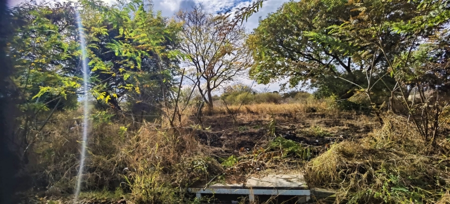 Commercial Property for Sale in Ivy Park Limpopo