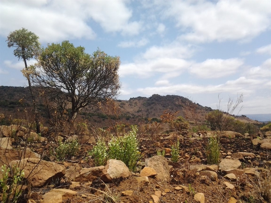 Commercial Property for Sale in Roossenekal AH Limpopo