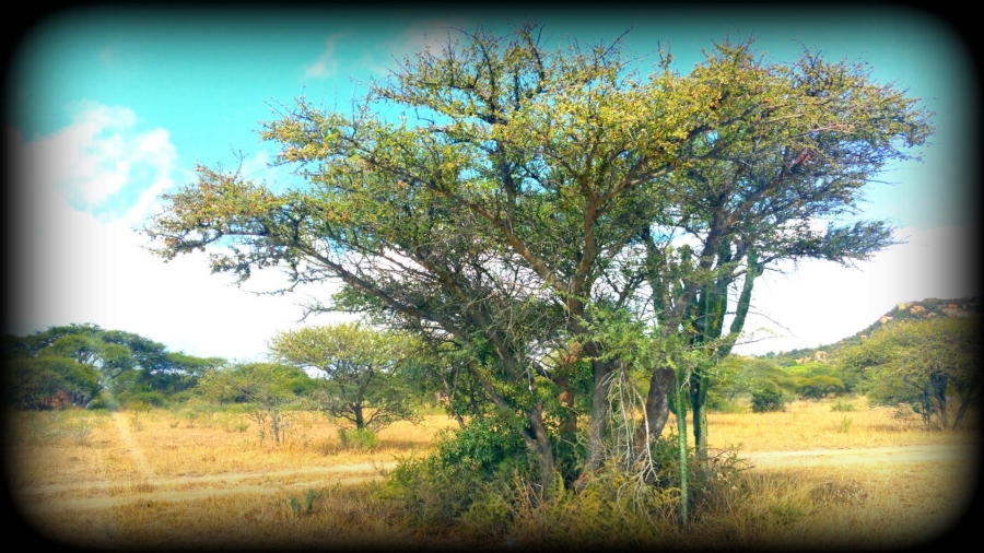 Commercial Property for Sale in Rietfontein A H Limpopo