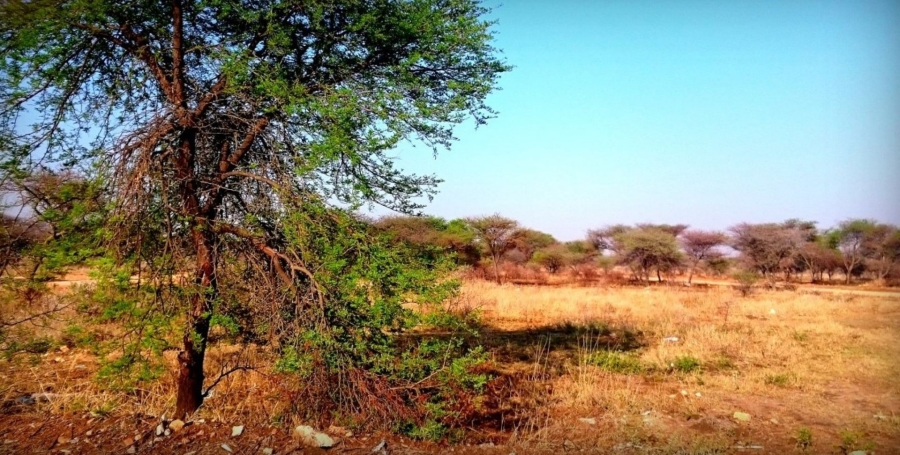 Commercial Property for Sale in Ivydale Limpopo