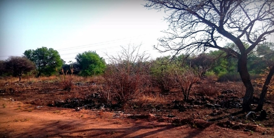 Commercial Property for Sale in Ivydale Limpopo