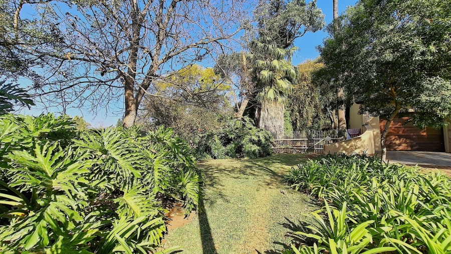 Commercial Property for Sale in Dalmada A H Limpopo