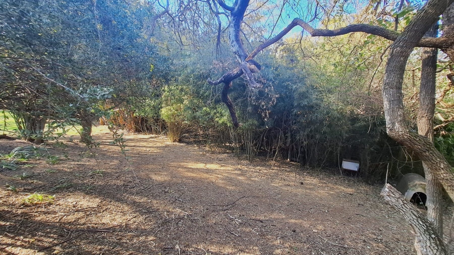 Commercial Property for Sale in Dalmada A H Limpopo