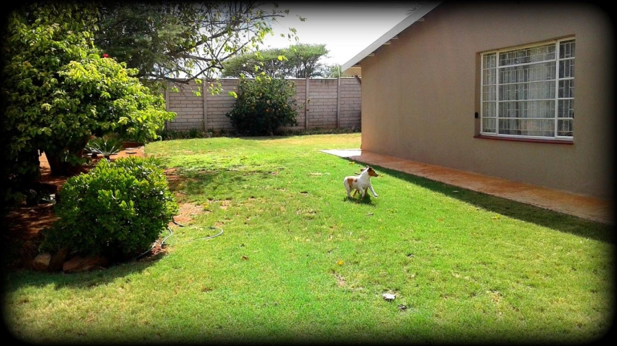 Commercial Property for Sale in Ivydale A H Limpopo