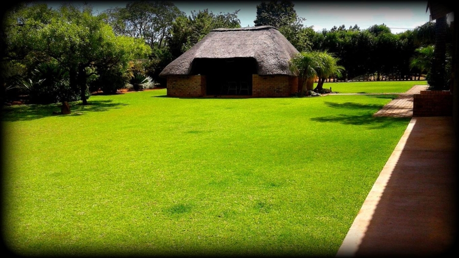 Commercial Property for Sale in Ivydale A H Limpopo