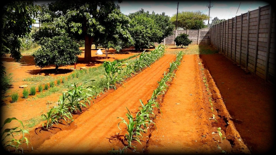 Commercial Property for Sale in Ivydale A H Limpopo